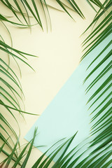 Tropical palm background. Creative layout made of green tropical leaves on blue and yellow background. Minimal border, summer flat lay concept with copy space