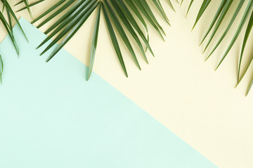Tropical palm background. Creative layout made of green tropical leaves on blue and yellow background. Minimal border, summer flat lay concept with copy space