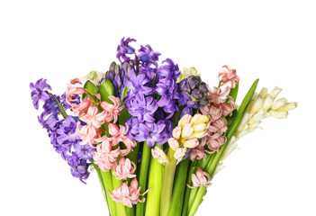 Fototapeta premium Beautiful hyacinth flowers on white background