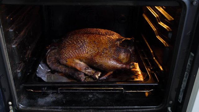 A huge duck with a golden crust baked in the oven