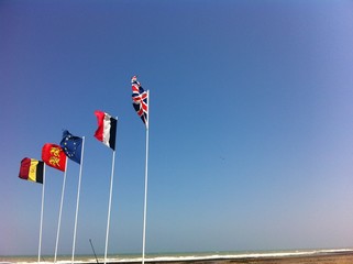 Fototapeta premium Drapeaux 