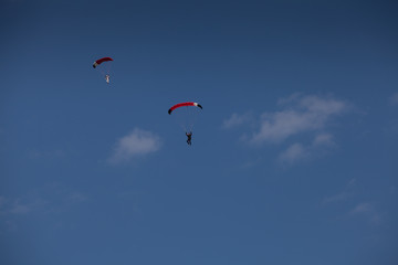 Fototapeta na wymiar Skydive, people in the sky, under clouds
