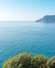 One boat on the ocean. Blue water with some cliffs in the background and greenery in foreground. Italy, Cinque Terre. - 268295256