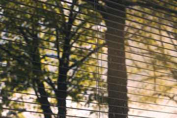Close up photo of window blinds half open/shut. Beautiful lights with nature and city details showing in background. Dirty window showing. - 268295401