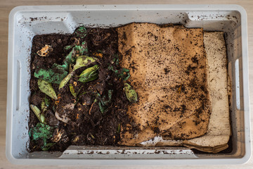 Top view of a DIY worm farm (composting bin) in an apartment