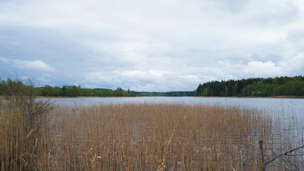 Forest lake with a rainy sky before a thunderstorm.