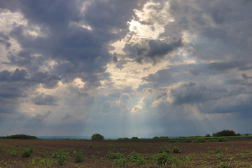 Beautiful landscape, end of the day in Serbia (Vojvodina region)