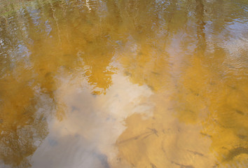 Yellow transparent sandy bottom of the river.