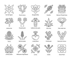 Desert plants linear icons set