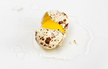 Chicken broken quail spotted egg