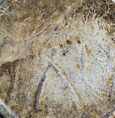 Marble background texture old.