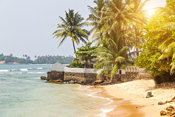 Ocean coast wild tropical beach. Green Palm branches or coconut palm leaves