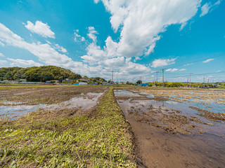 田