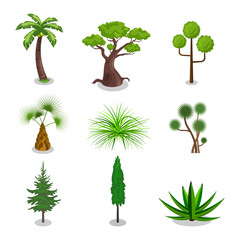 Isometric vector Trees 3d illustration.Concept tree grass and ornamental plants icon isolated on white background.
