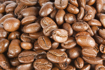 Coffee Beans Close Up