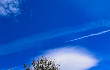 Fototapeta na wymiar Paraglider and blue sky