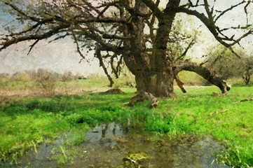 Watercolor paintings landscape, river in the forest. Fine art, tree in the park