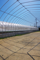 Fototapeta premium 建築中のビニールハウス