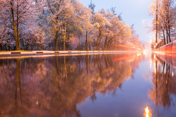 Winter trees and reflections in a puddle, winter landscape