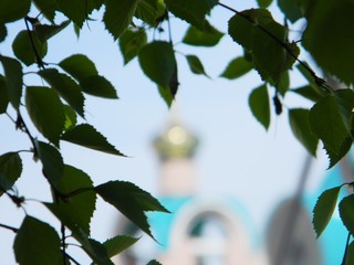 dome of orthodox church with birch branch. Orthodox cross