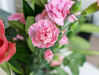 Red, pink flower bouquet. Indoors with white background. 