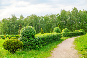 Beautiful garden art decoration on blossom exotic trees background in the park. Topiary art landscape