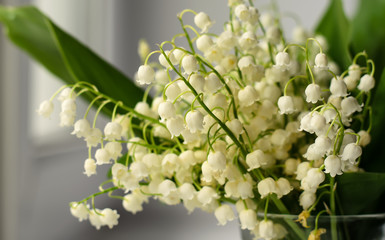 Bouquet of delicate lilies of the valley (Convallaria) in a glass cup on a windowsill, close-up, selective focus
