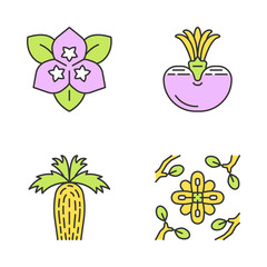 Desert plants color icons set