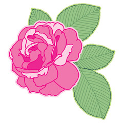 ROSE FLOWER ELEMENT illustration for surface pattern design - Illustration