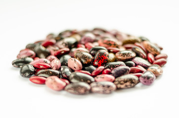 Mix of raw beans on white background. Assortment of multi colored dried kidney beans