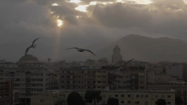 A sity landscape of Palermo with cloudy sky and floating seagulls in the foreground, slow motion