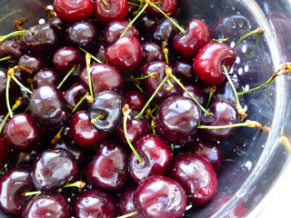 Ripe Red Sweet Cherries in metal colander with water drops isolated on white. Close-up of fresh red sweet cherries in metal colander on white surface. Fresh summer background. 