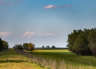landscape with green field and blue sky