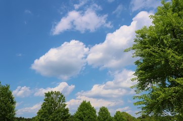 風景　緑　空　雲　春　杤木