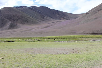 landscape in the mountains