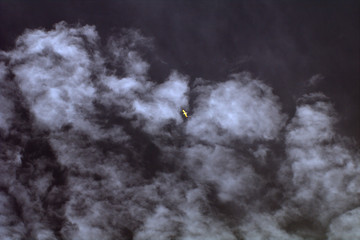 seagull on black background,cloud,white,bird,air,nature,atmosphere,sky 