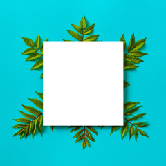 Bright green fern leaves and a square blank white frame on a uniform blue background.