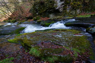 Obraz premium Górski potok na wiosnę