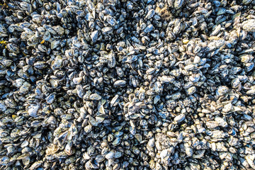 Paddling around Whiterock and Ballydorn