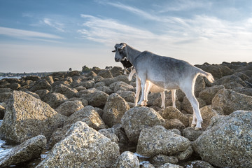 Paddling around Whiterock and Ballydorn