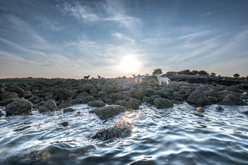 Paddling around Whiterock and Ballydorn