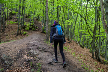 Hiking girl in forest