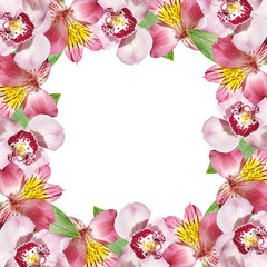 Beautiful floral background of alstroemeria and orchids. Isolated 