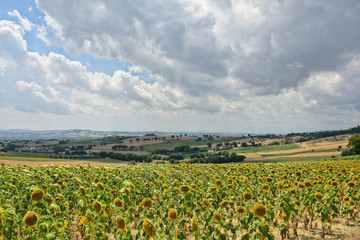 Fototapeta na wymiar Natural landscape of the Marche region