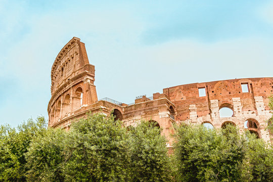View Of Coliseum - Rome