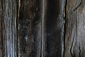 Abstract Wood texture natural design