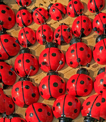 many souvenirs, ladybugs for sale