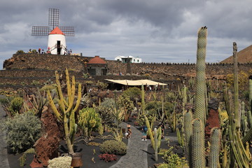 jardin de cactus de Lanzarote