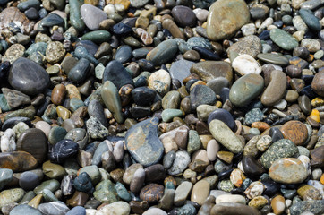  background of sea pebbles