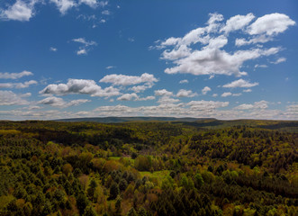 Fototapeta na wymiar Panoramic view of beautiful landscape in the fresh green forest and a sunny day with blue sky and clouds in springtime